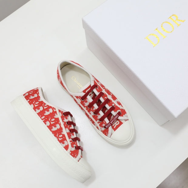 DIOR SHOES